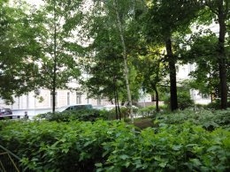 IMG_2016-06-29_192006.jpg