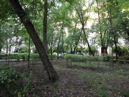 IMG_2016-06-29_193041.jpg