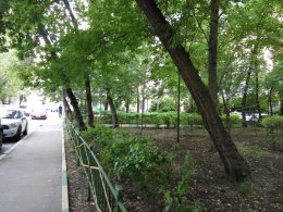IMG_2016-06-29_193045.jpg