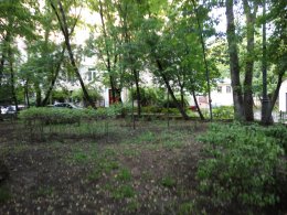 IMG_2016-06-29_193048.jpg