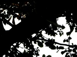 DSCN0029.JPG