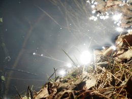DSCN0847.JPG