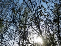 DSCN1080.JPG
