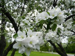DSCN1249.JPG