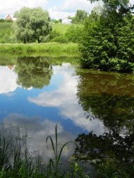 DSCN1563.JPG