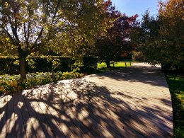 IMG_20171008_095624_HDR.jpg