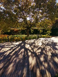 IMG_20171008_095539_HDR.jpg