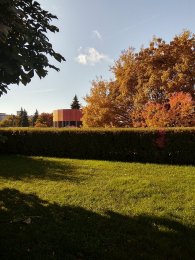 IMG_20171008_095336_HDR.jpg