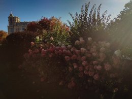 IMG_20171008_094644_HDR mod.jpg