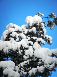 DSCN2508.JPG