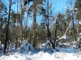 DSCN2610.JPG