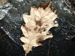 DSCN2690.JPG