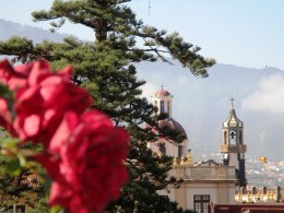 IMG_0172.JPG