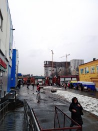 IMG_20190308_142437.jpg